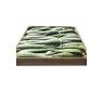 Hojas Frescas Aloe Vera Canarias