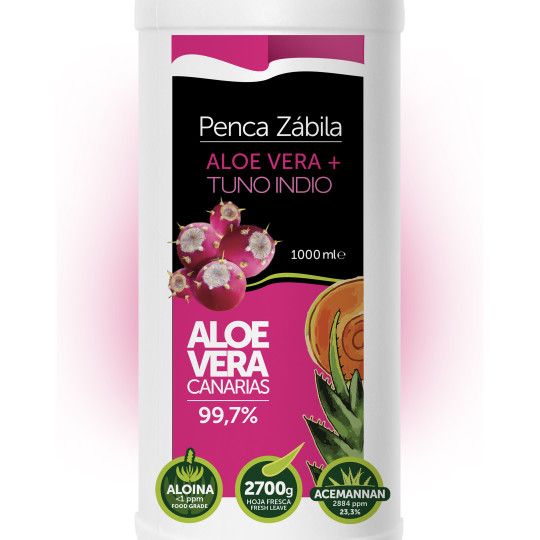 Jugo Aloe + Tuno Indio Puro Penca Zabila 250ml 12 - Penca Zábila 