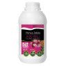 Jugo Puro Aloe + Tuno Indio Penca Zabila 500ml 6 - Penca Zábila 