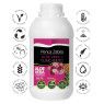 Aloe Vera + Canarian Tuno Prickly Pear 99.7% 500 ml 2 - Penca Zábila 