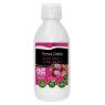 Jugo Aloe de Canarias + Tuno Indio de Canarias Penca Zabila 250ml