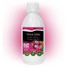 Jugo Puro Aloe + Tuno Indio Penca Zabila 250ml