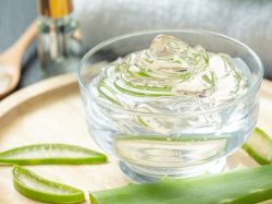 Aloe vera for cystitis