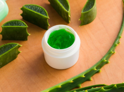 The power of aloe vera to treat infected wounds